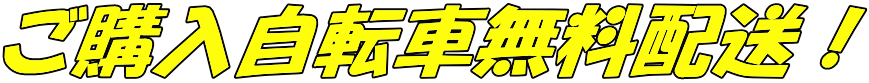 ご購入自転車無料配送！